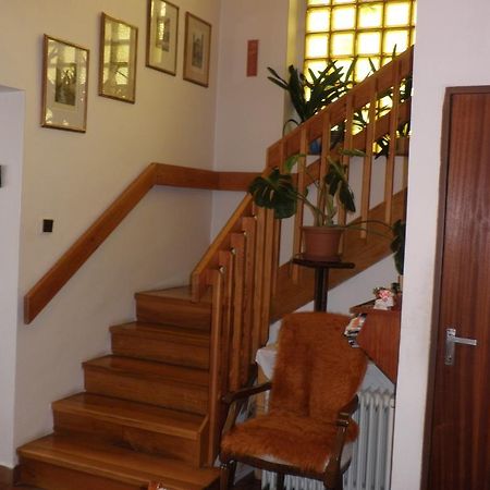Pension Arcadia Прага Номер фото
